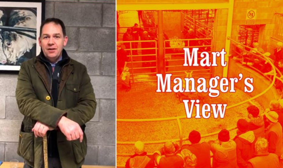 'It was the best trade I've seen for sheep ever'
