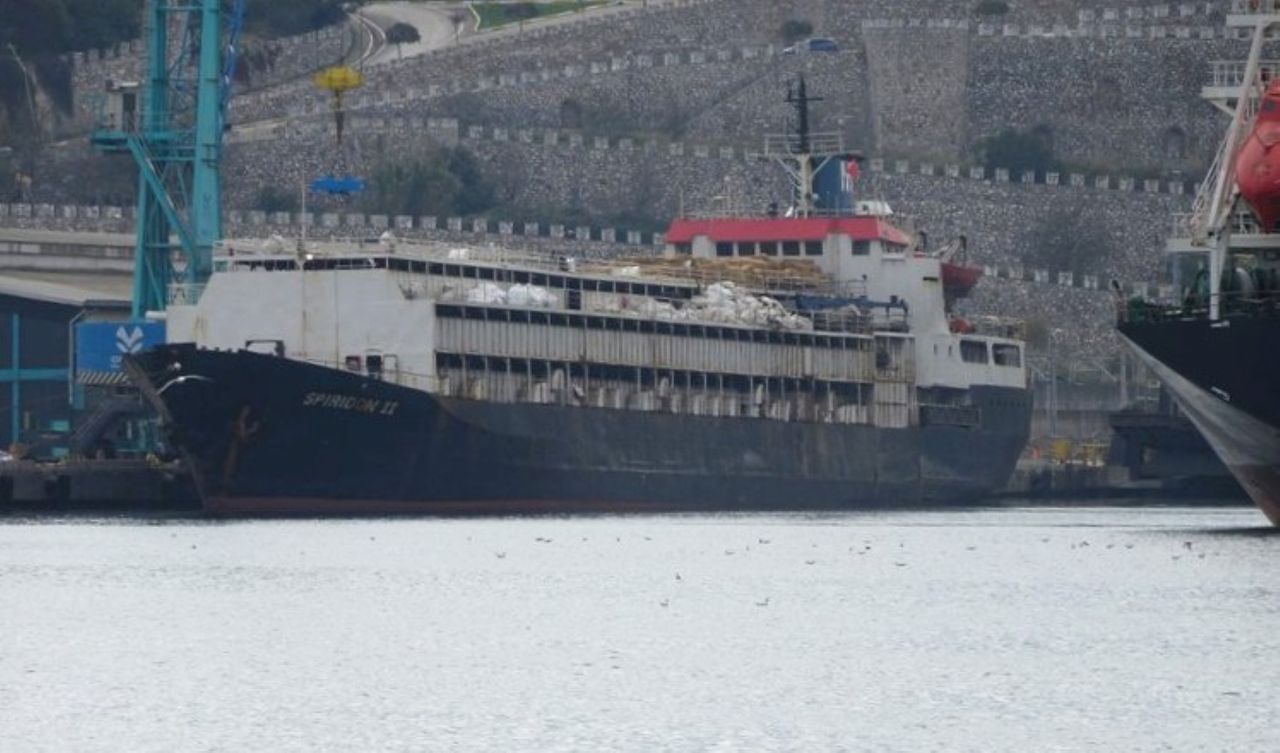 Uruguayan cattle stranded on ship due to tagging issues