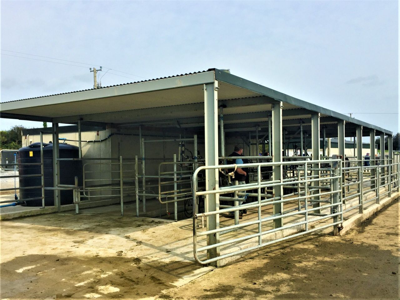 What does a €2,600/cow investment get you on a greenfield site?