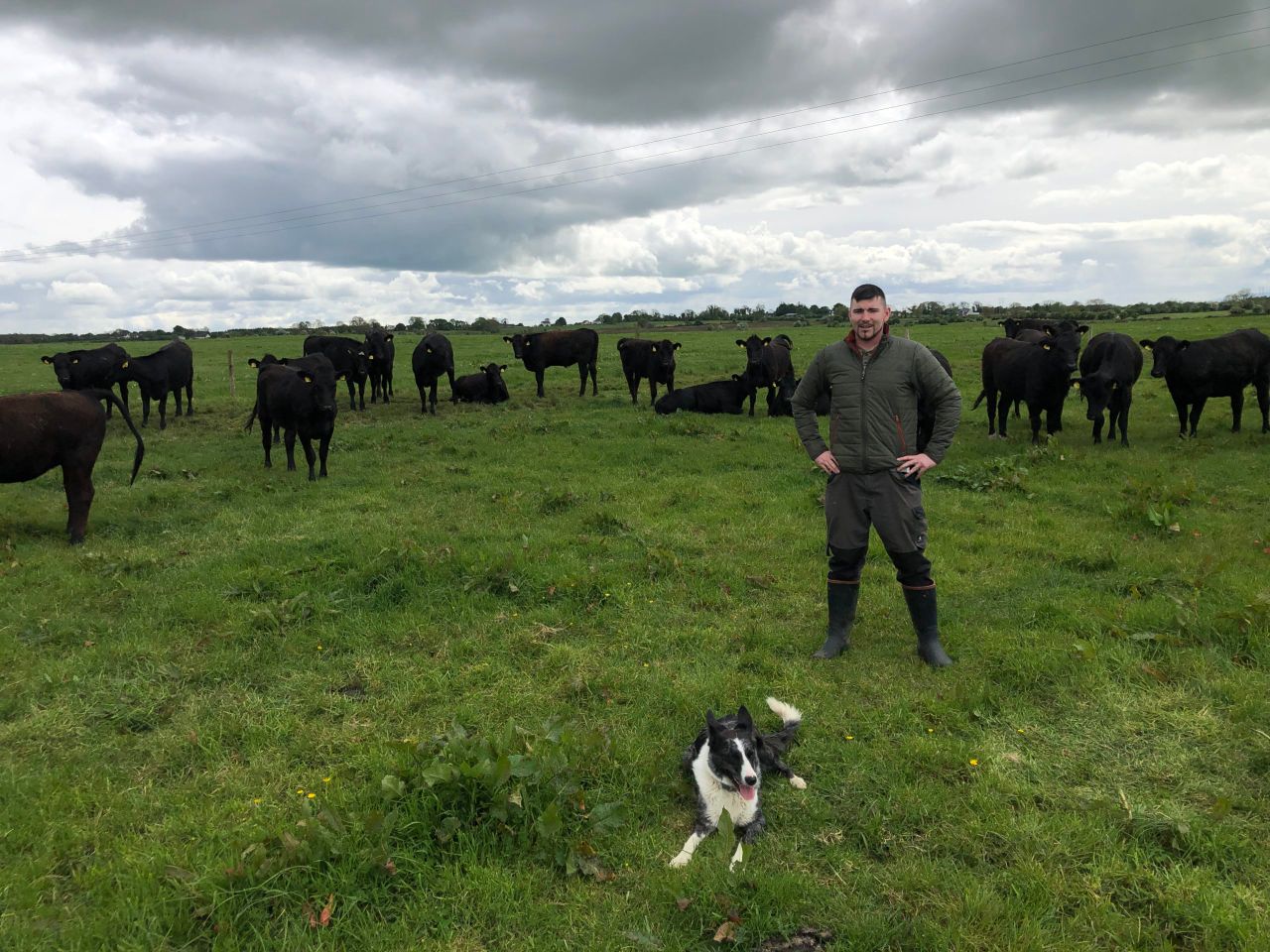 Beef Focus: Mayo Macra chair's Angus beef system