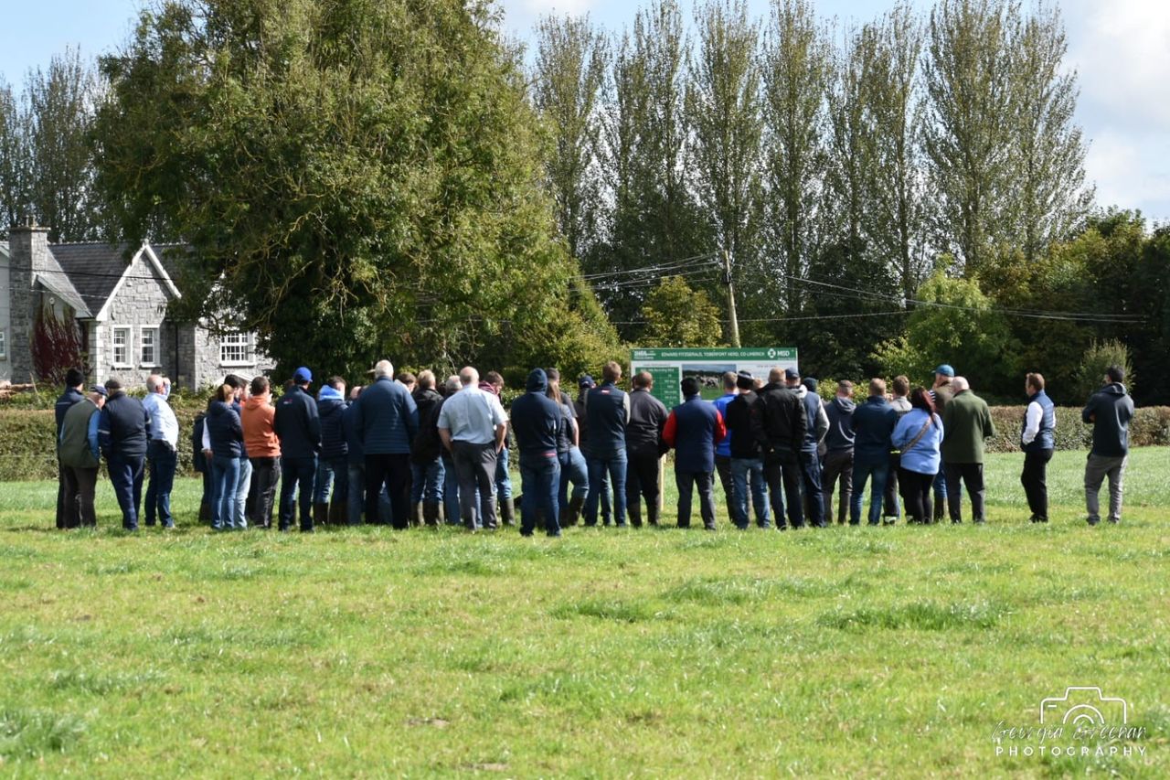 Watch: Copperbeech Herd draws crowds for IHFA Focus Farm event