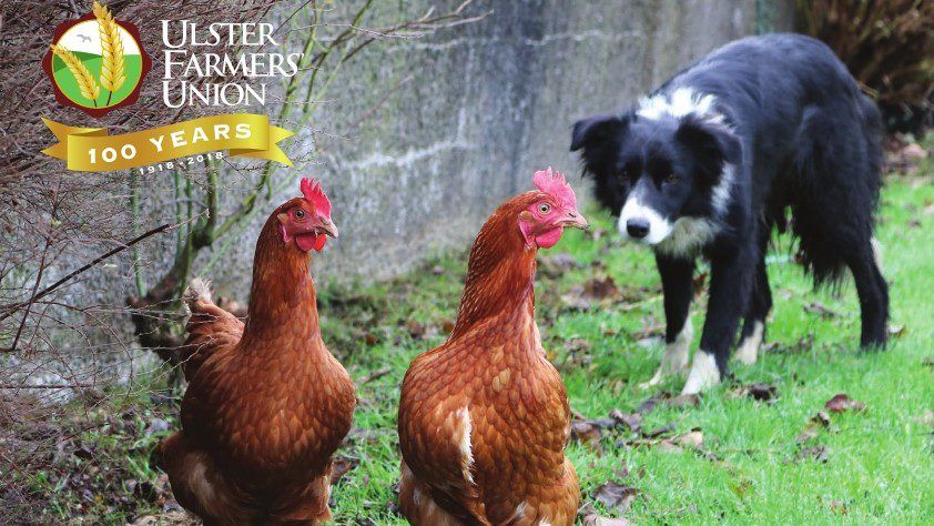 UFU joins forces with Fane Valley to reach 100th year £100,000 goal