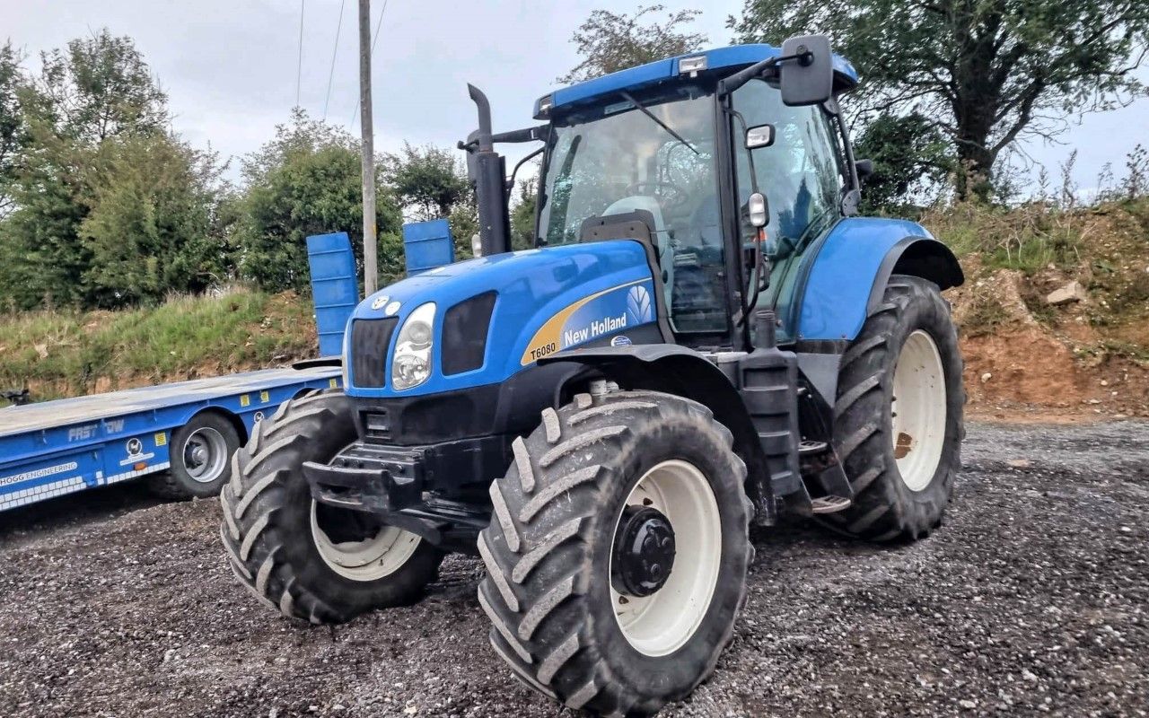 Basildon Blue sells well at latest Munster Auctions event