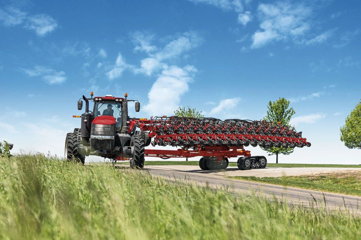 Grain price: Global wheat supplies forecast to increase by 50 million tonnes
