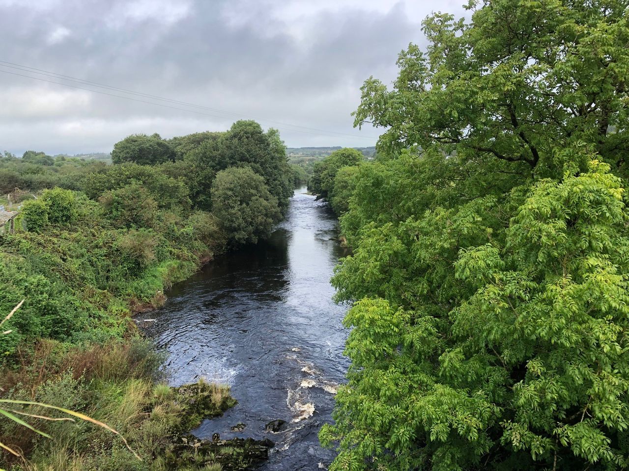 Concerns over nitrates derogation limit raised with minister