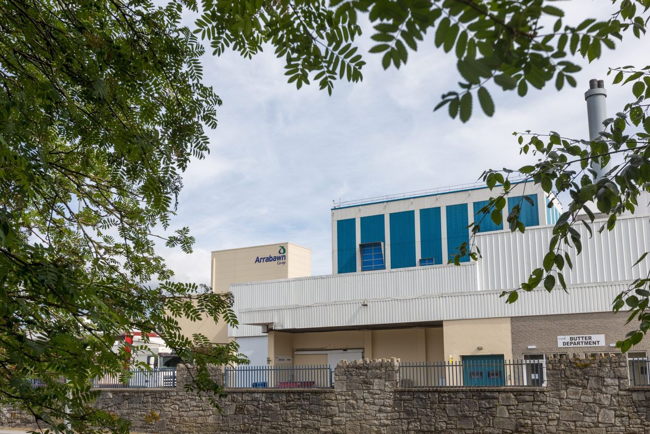 Arrabawn lifts milk price for February supplies