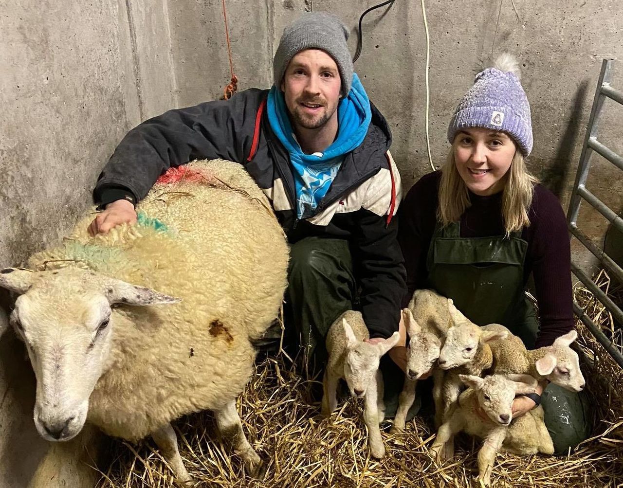 'We can't go on nights out so at least we can lamb sheep' - quintuplets on Donegal farm