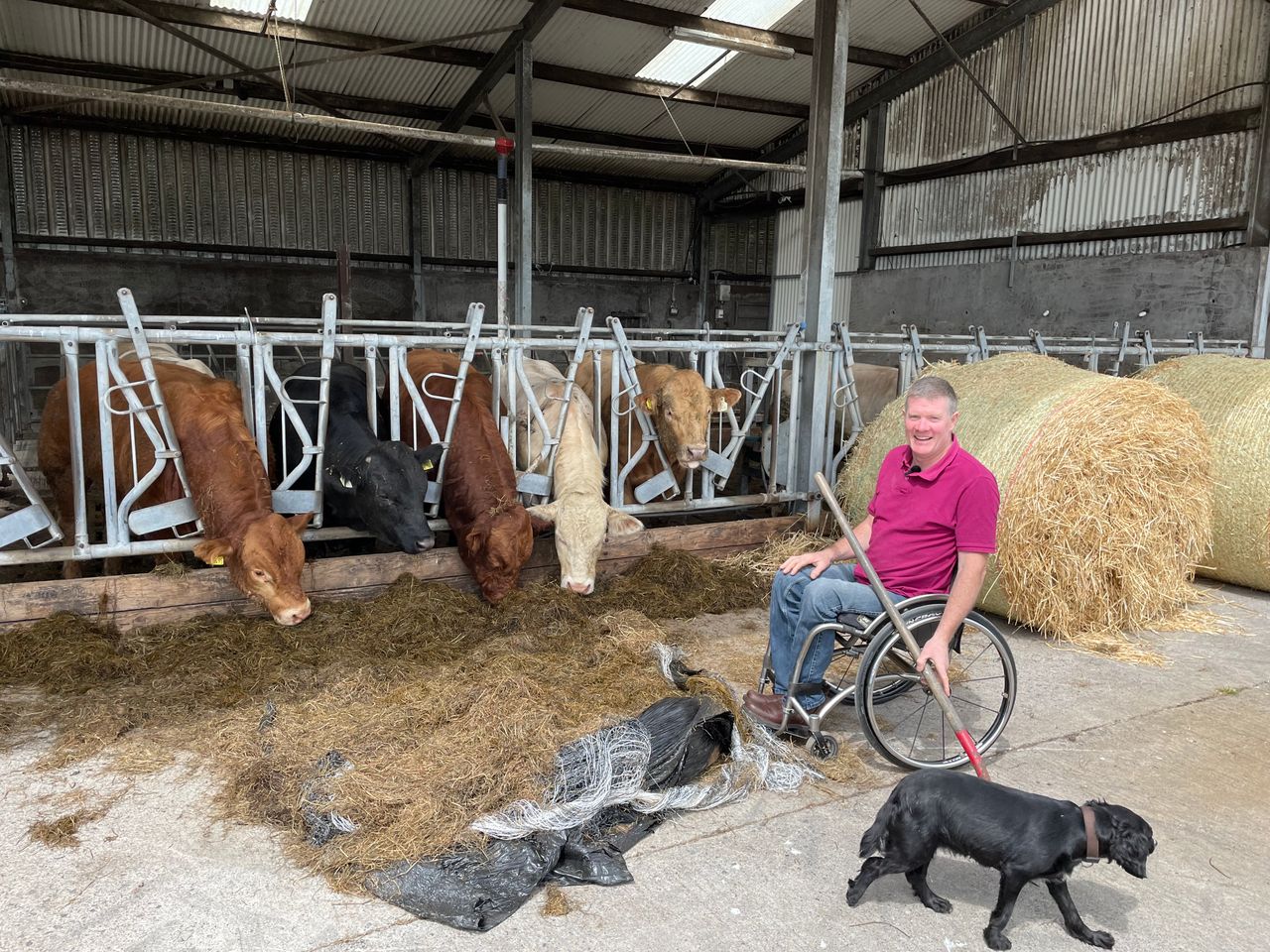 Beef Focus: 34 years farming from a wheelchair in Sligo