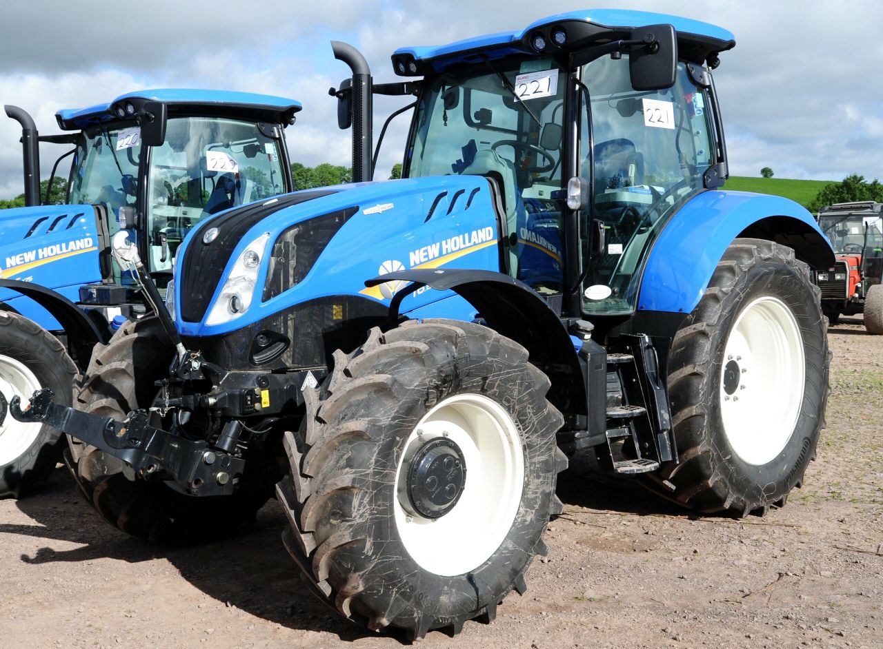 Auction report: 'Blue' and 'green' highlights from big Co. Tyrone sale