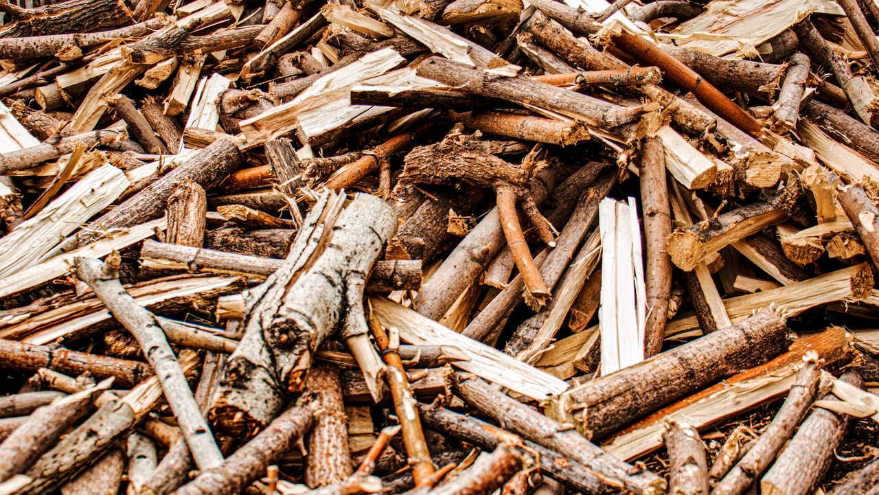 EU launches plan to reward farmers and foresters who protect soils and support biomass