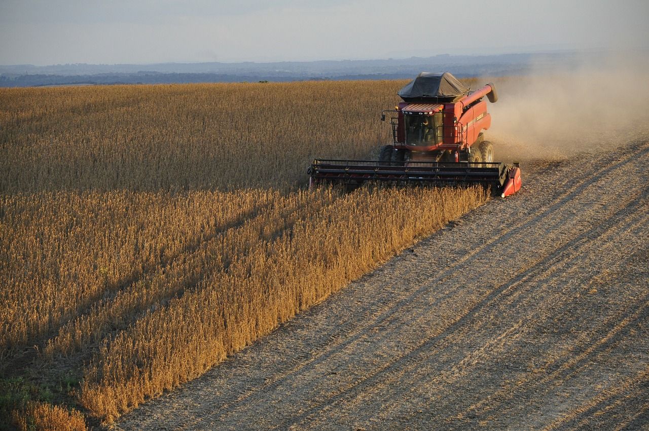 Value of agricultural production in Brazil to increase by almost 2%