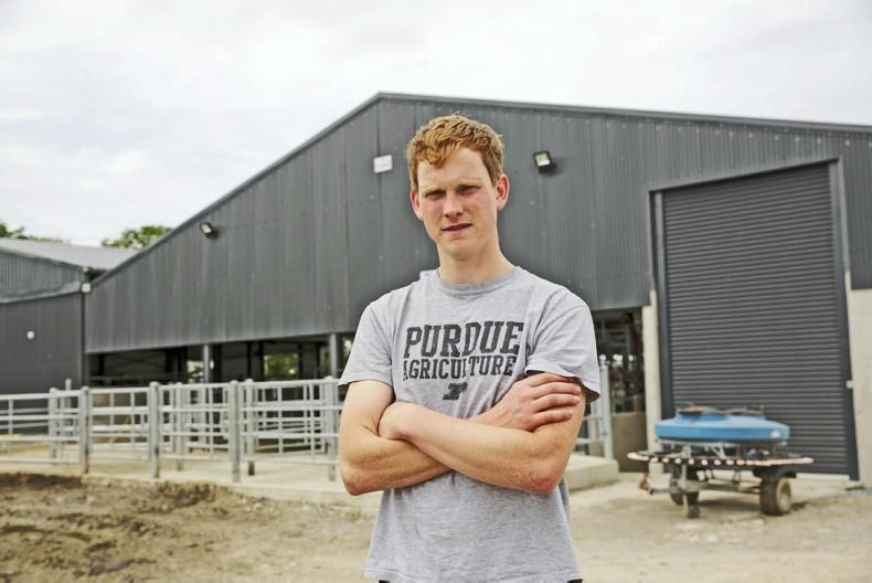 New entrant dairy farmer triples size of herd in 3 years