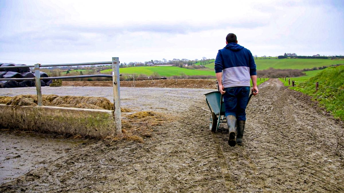 Over 109,000 people working in agriculture sector - CSO