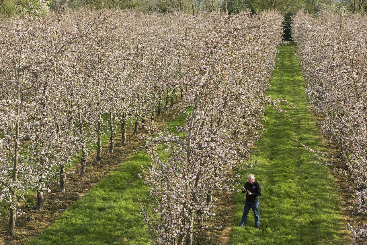 From farming in Saudi Arabia to cider making in South Tipp