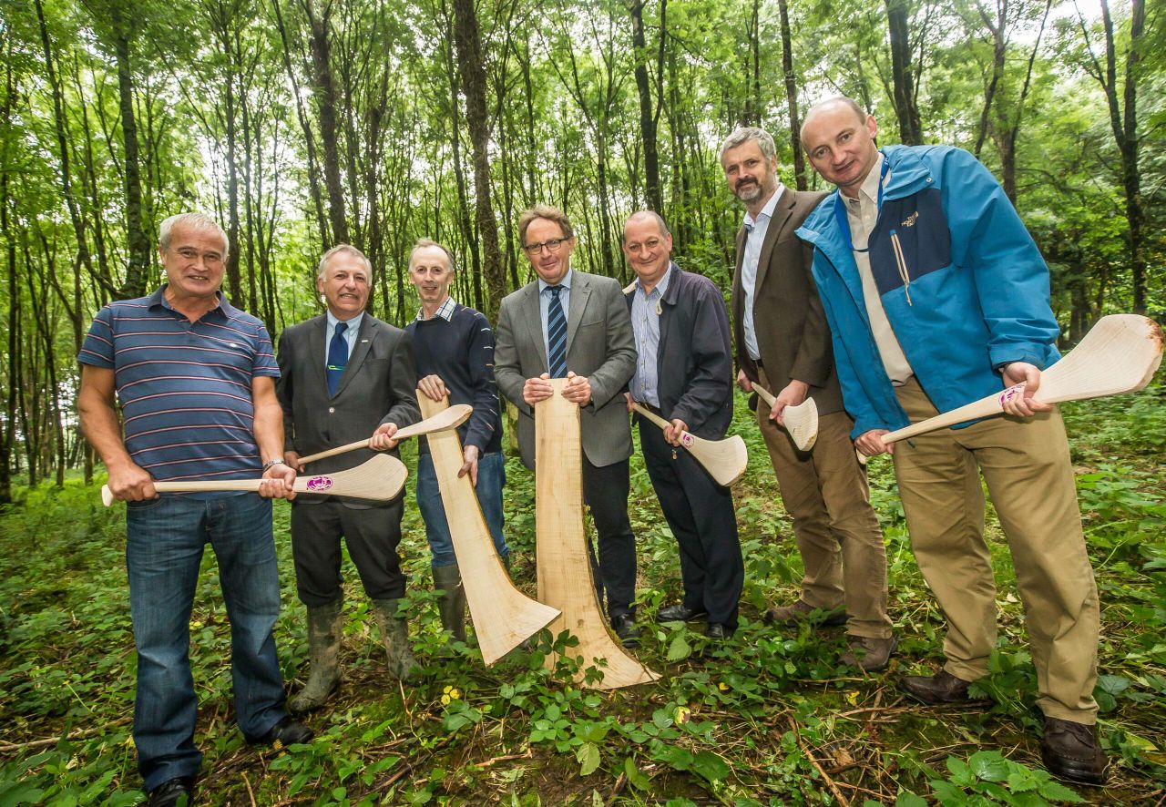 Harvesting of hurley butts starts in Johnstown Castle