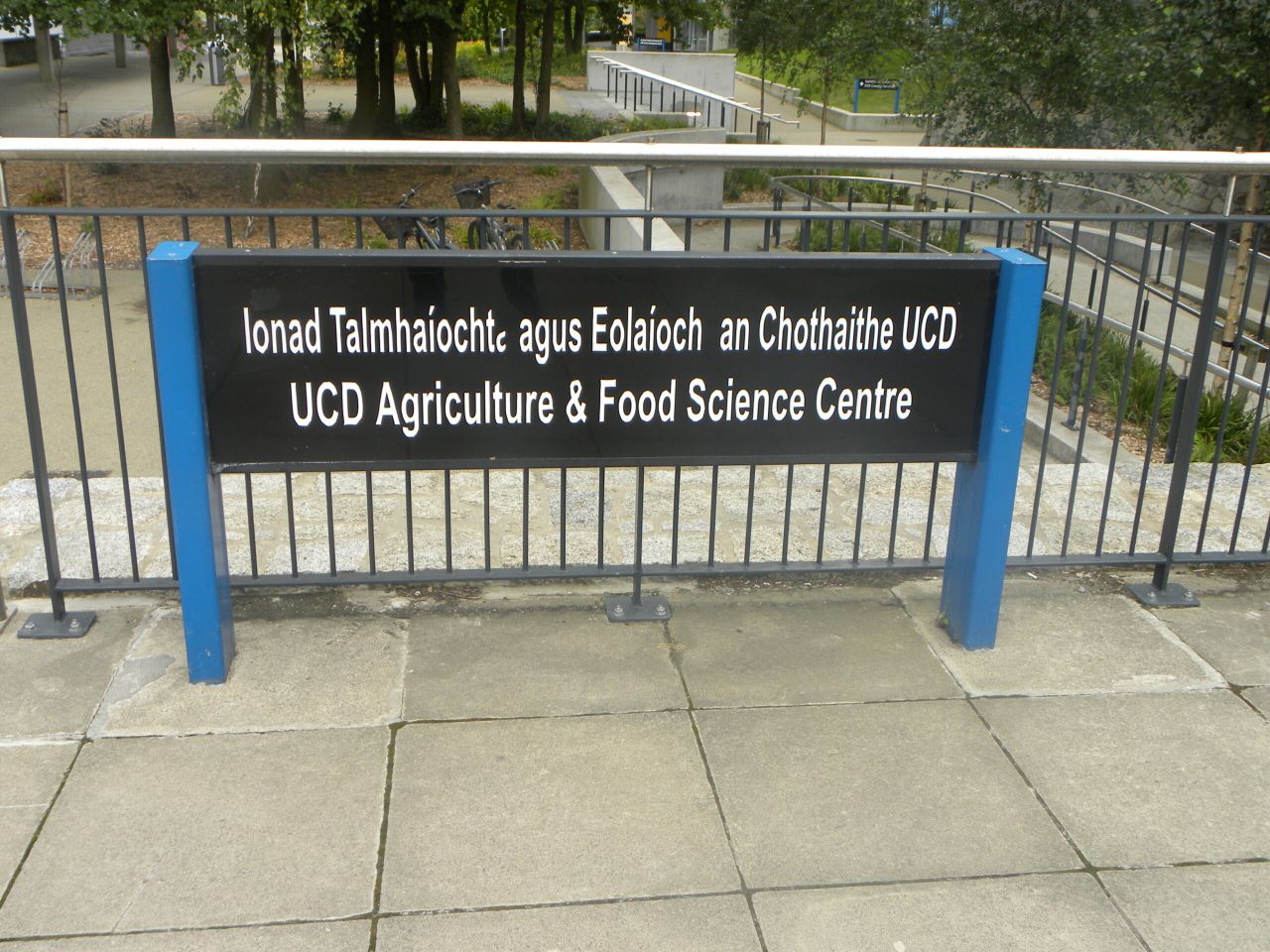 The unofficial guide to UCD for new Ag students (not suitable for parents)