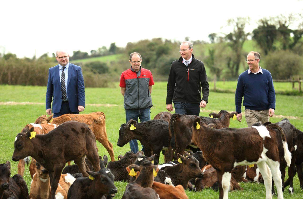 'We need to work collectively to improve our farm safety record'- Coveney