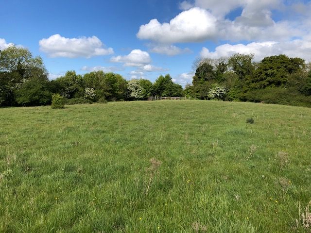 Land sale: 'Despite Covid-19 uncertainty, interest levels were strong from the outset'