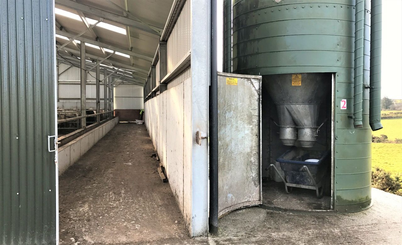 Feeding meal to deal with the drought