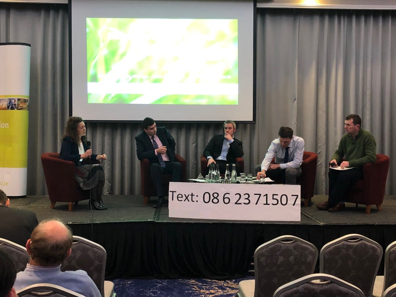 Friesian steers have potential for higher margin in current beef price climate - Teagasc
