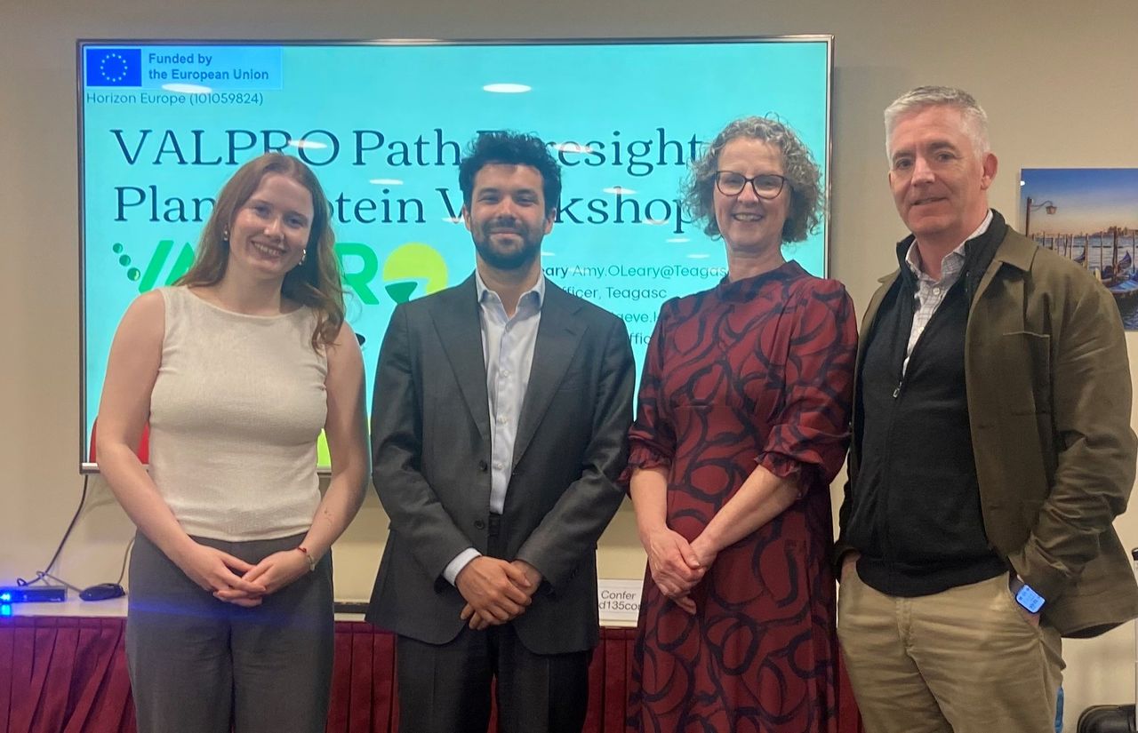 Teagasc meets EU stakeholders on plant-based protein