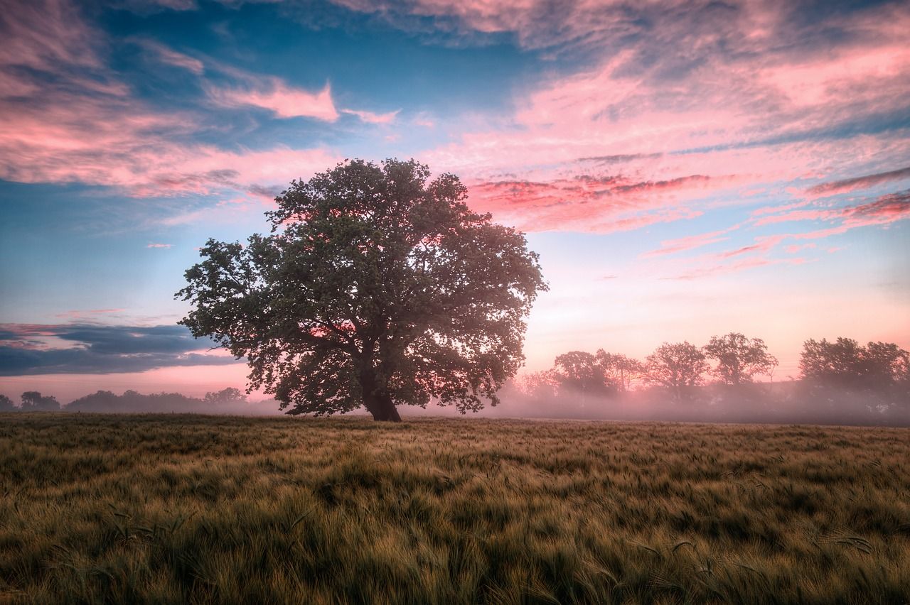 Nature restoration: Vote will 'not reassure' farmers but environmentalists welcome it