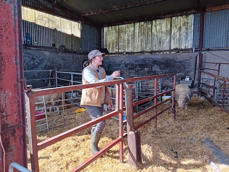 'Farmers are losing' - Síolta Chroí