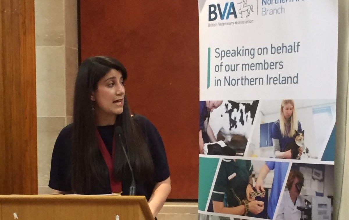 NI vets praised for 'strong and supportive' work ahead of Brexit
