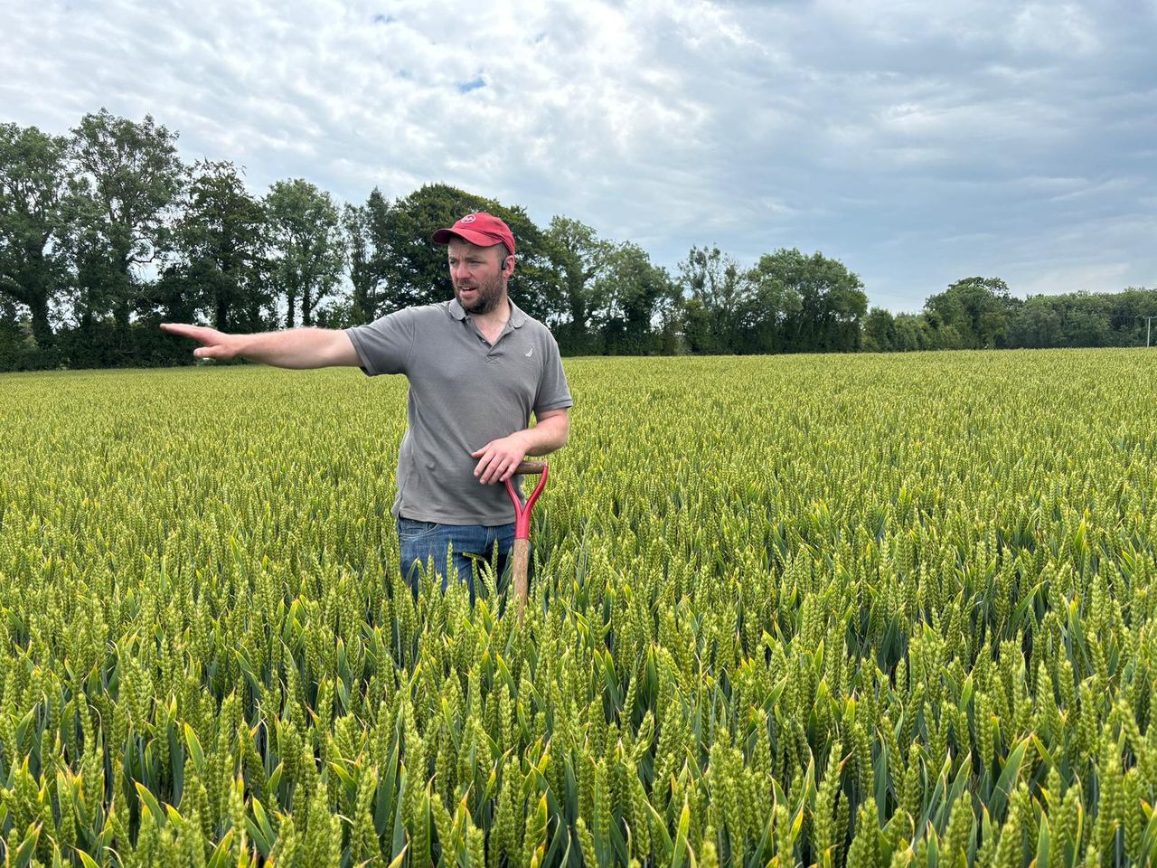 'How we were farming was not giving us the reward' - tillage farmer