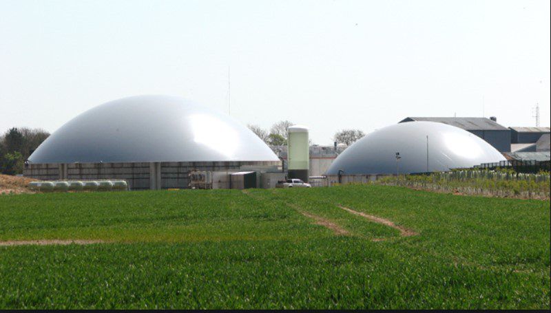 'Strong willingness' among farmers to supply 175,000ha of silage for AD - report