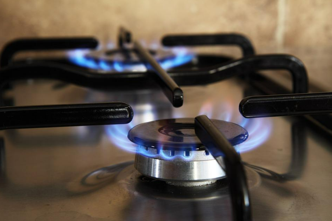 Gas generates almost half of electricity in April
