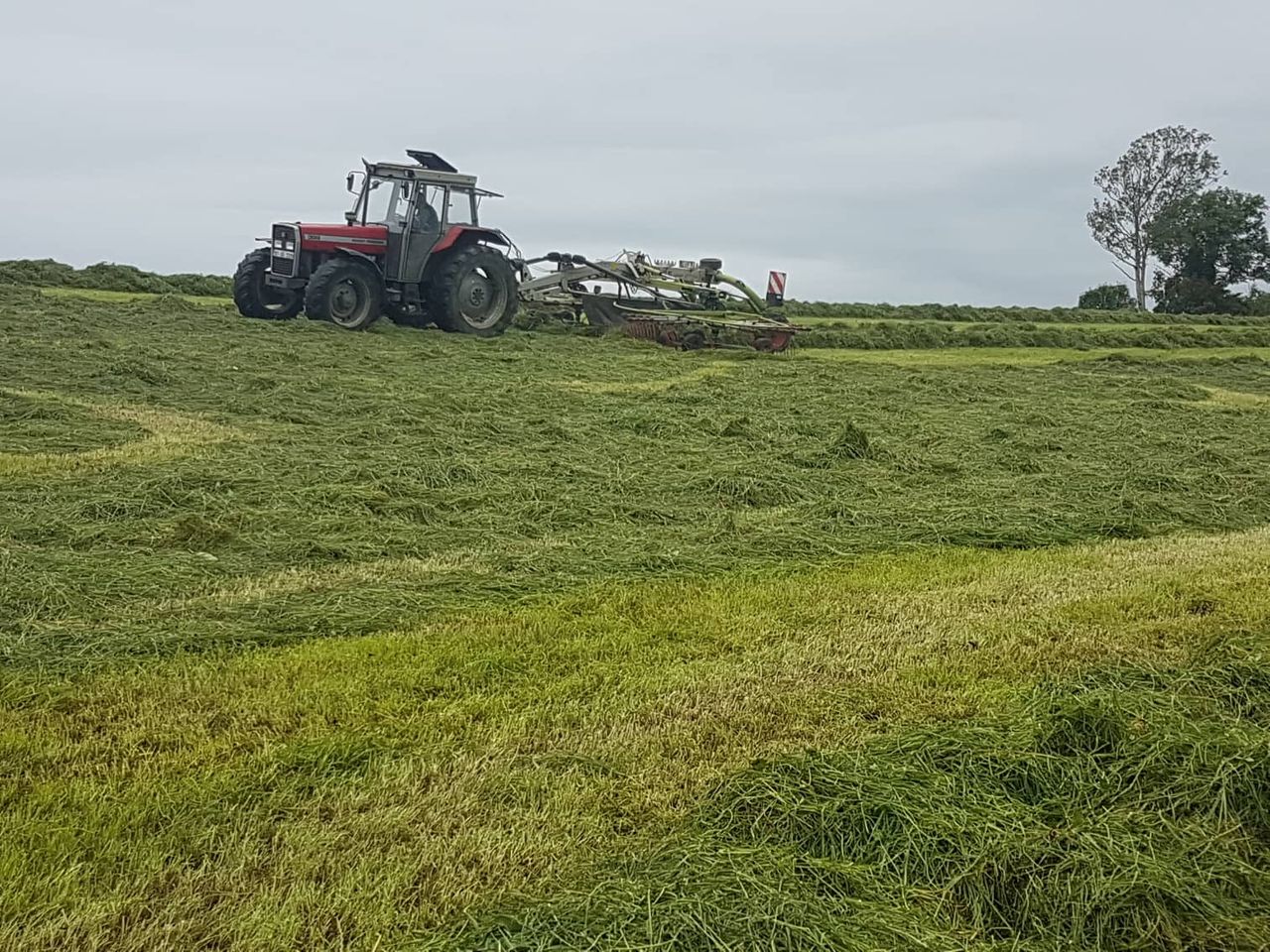 Farmers 'from Malin to Mizen' encouraged to save fodder at every opportunity