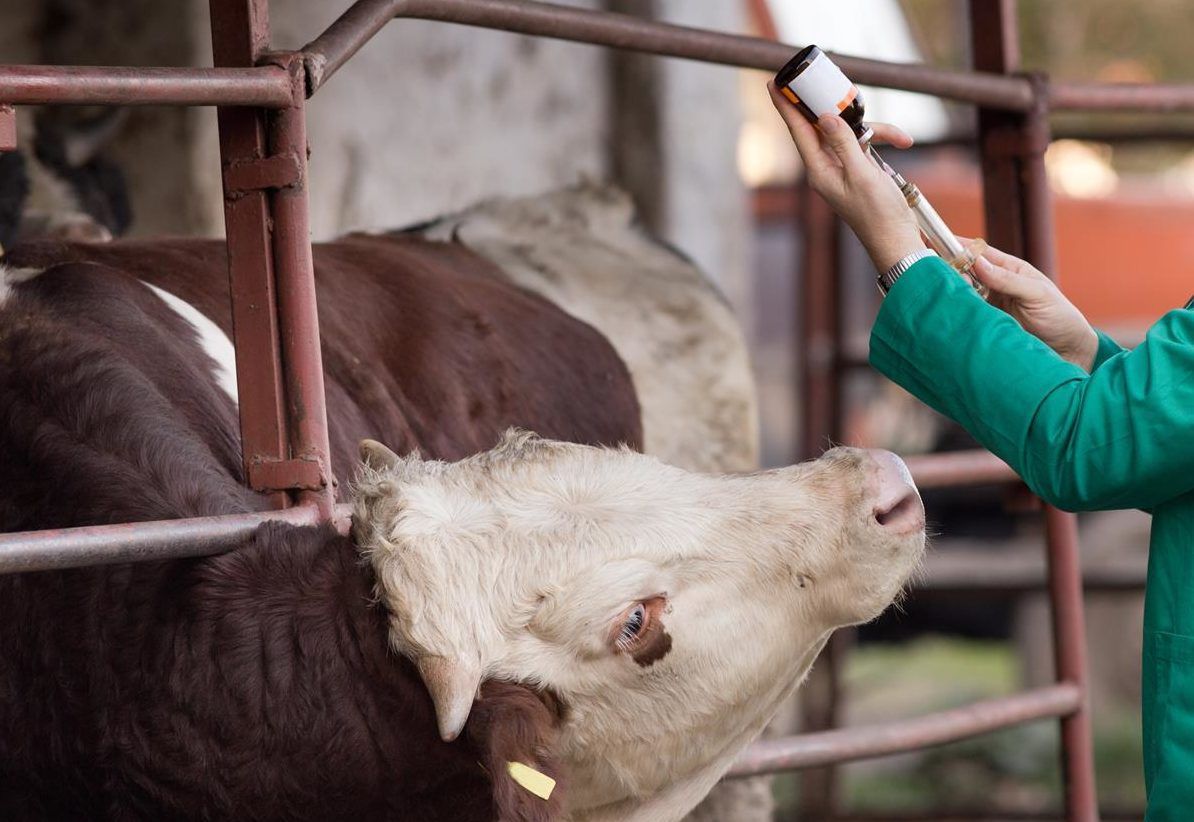 Expert warns that farmers are at a crossroads in terms of antibiotic use
