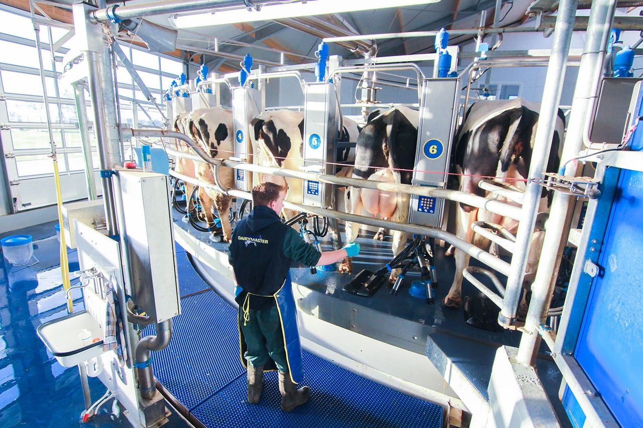 GDT publishes its 2018 report and marks 10th anniversary