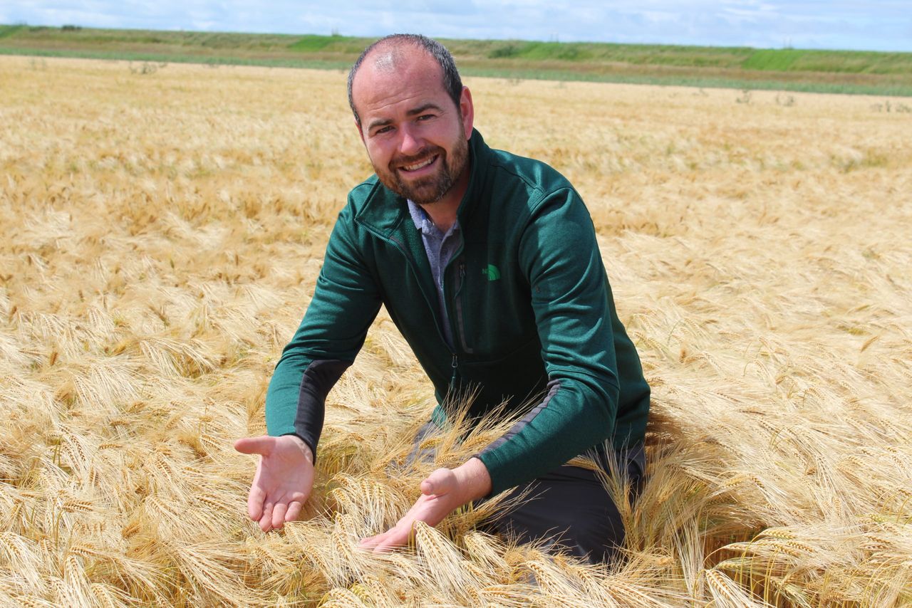 What constitutes the effective management of straw?