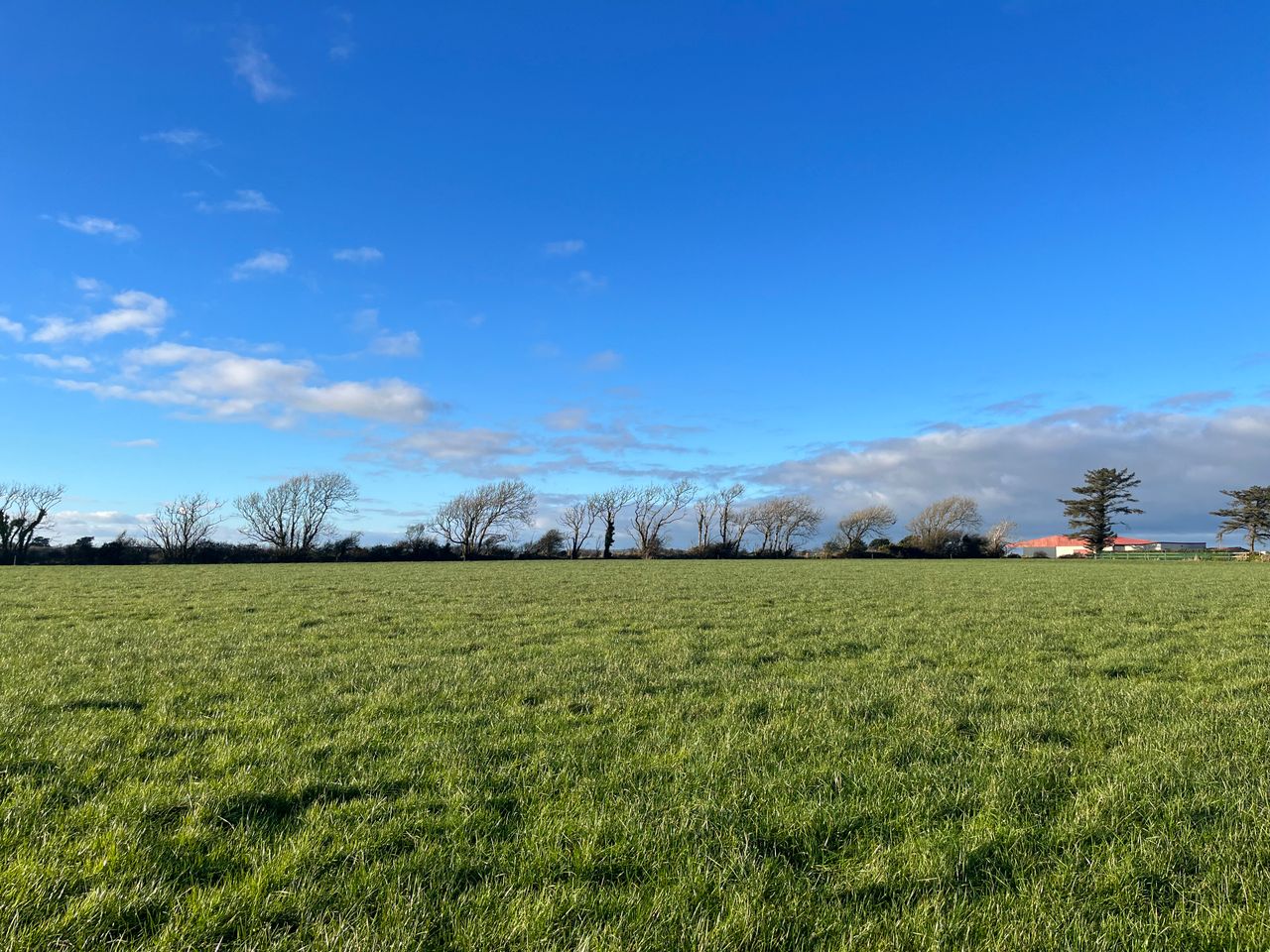 53.6ac of land in Rosslare offers road frontage