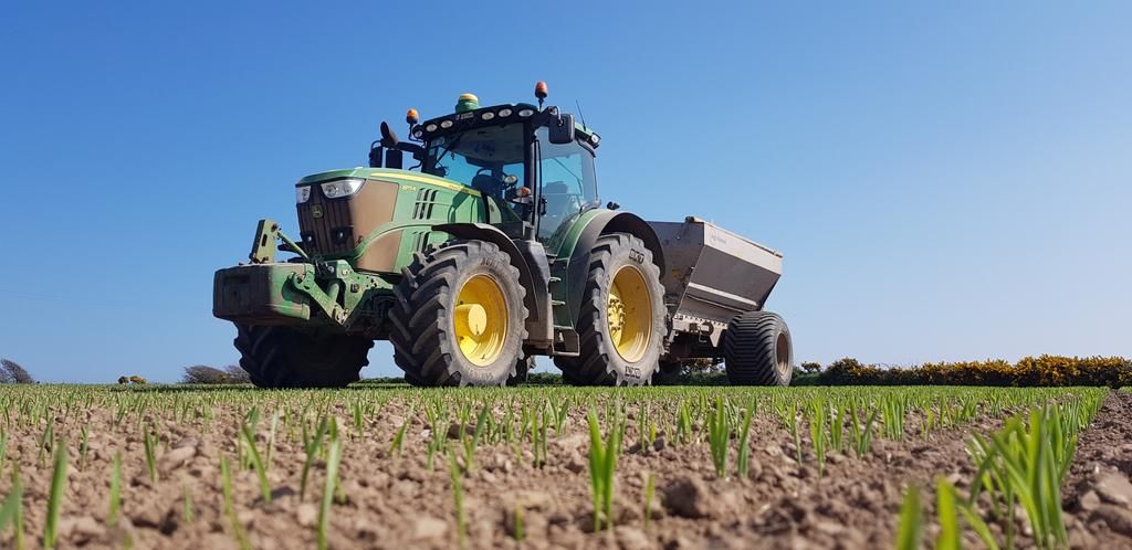 Tillage management: Early nitrogen for malting barley essential