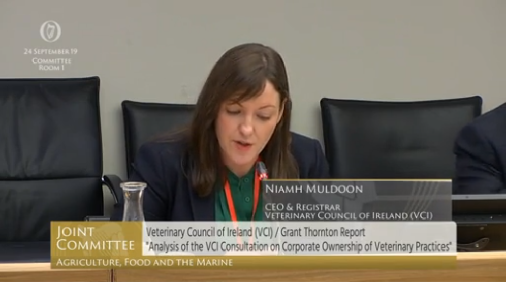 Veterinary Council has 'no legal authority' over ownership of practices