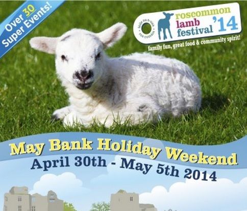 Roscommon sheep dog trials