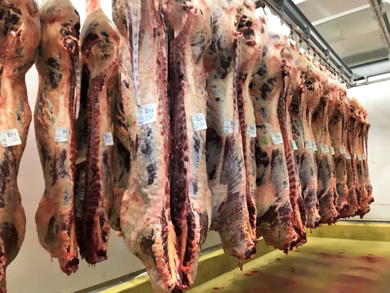 Auto Aussie: Australian meat processors look to beef boning automation
