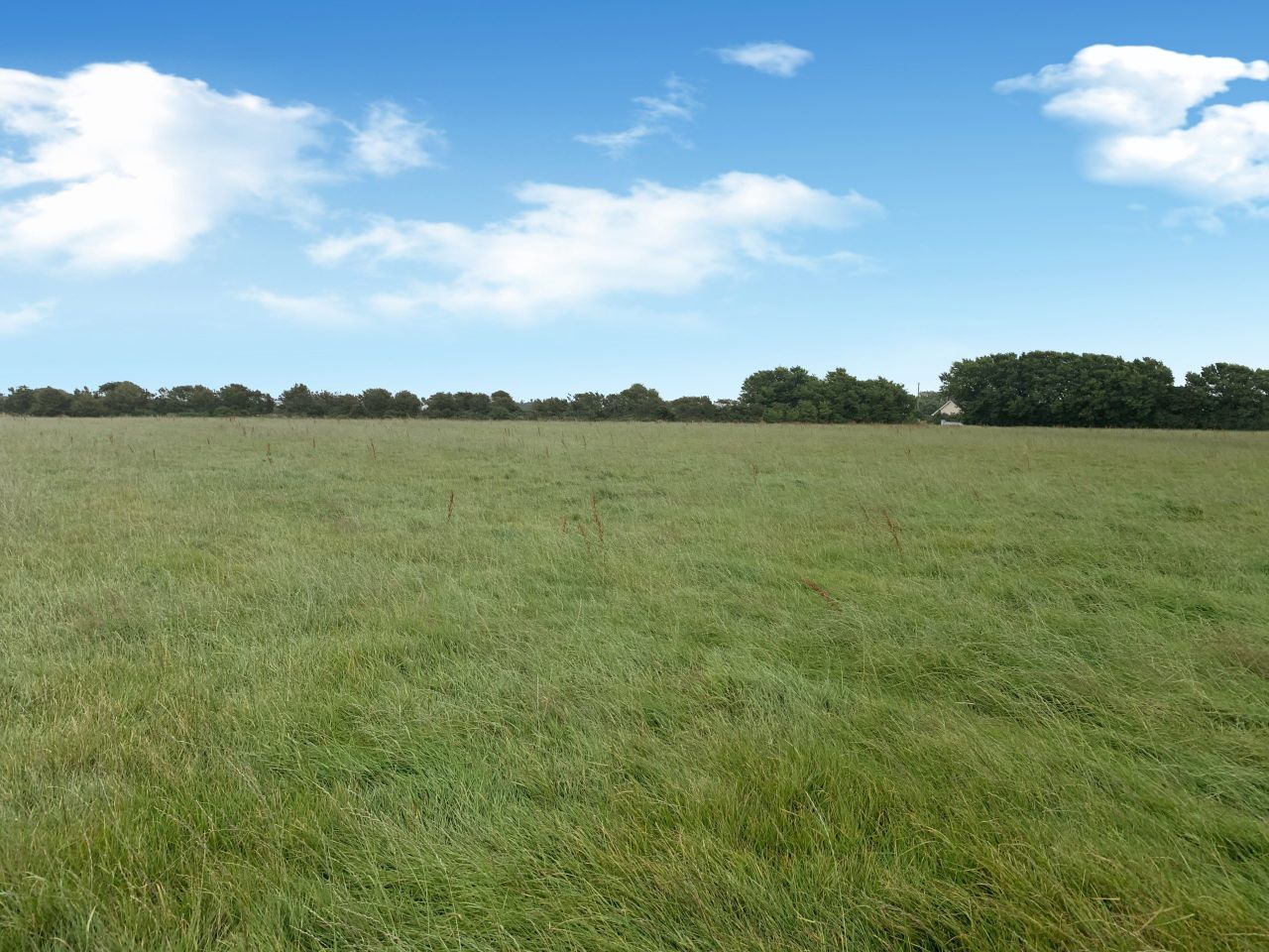 49ac Rosslare roadside holding for online auction