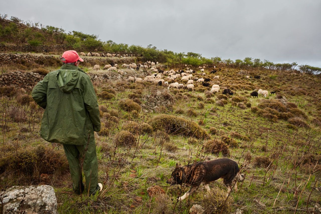 Farmers 'deeply concerned' about level of illegal trespass