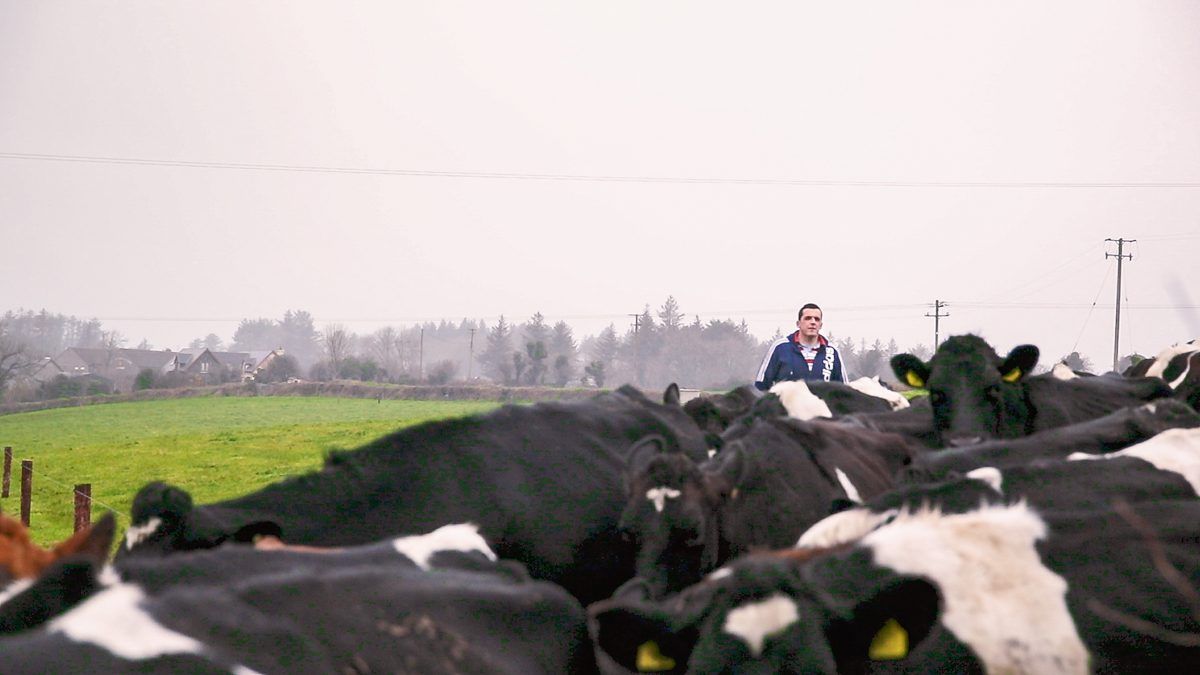 4 key areas 'in hands of dairy farmers' to reduce emissions