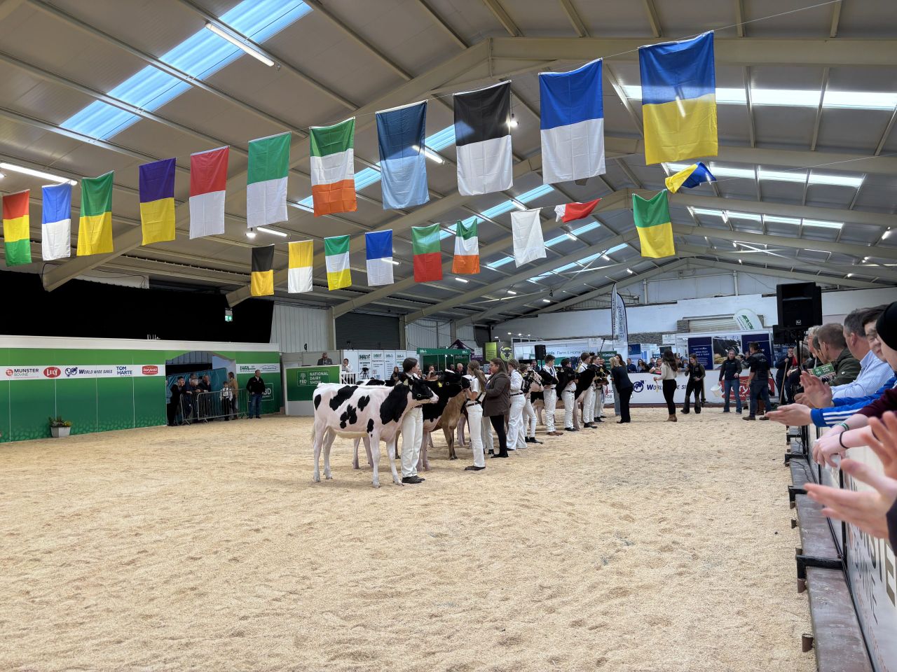 Results from day one of the FBD National Dairy Show