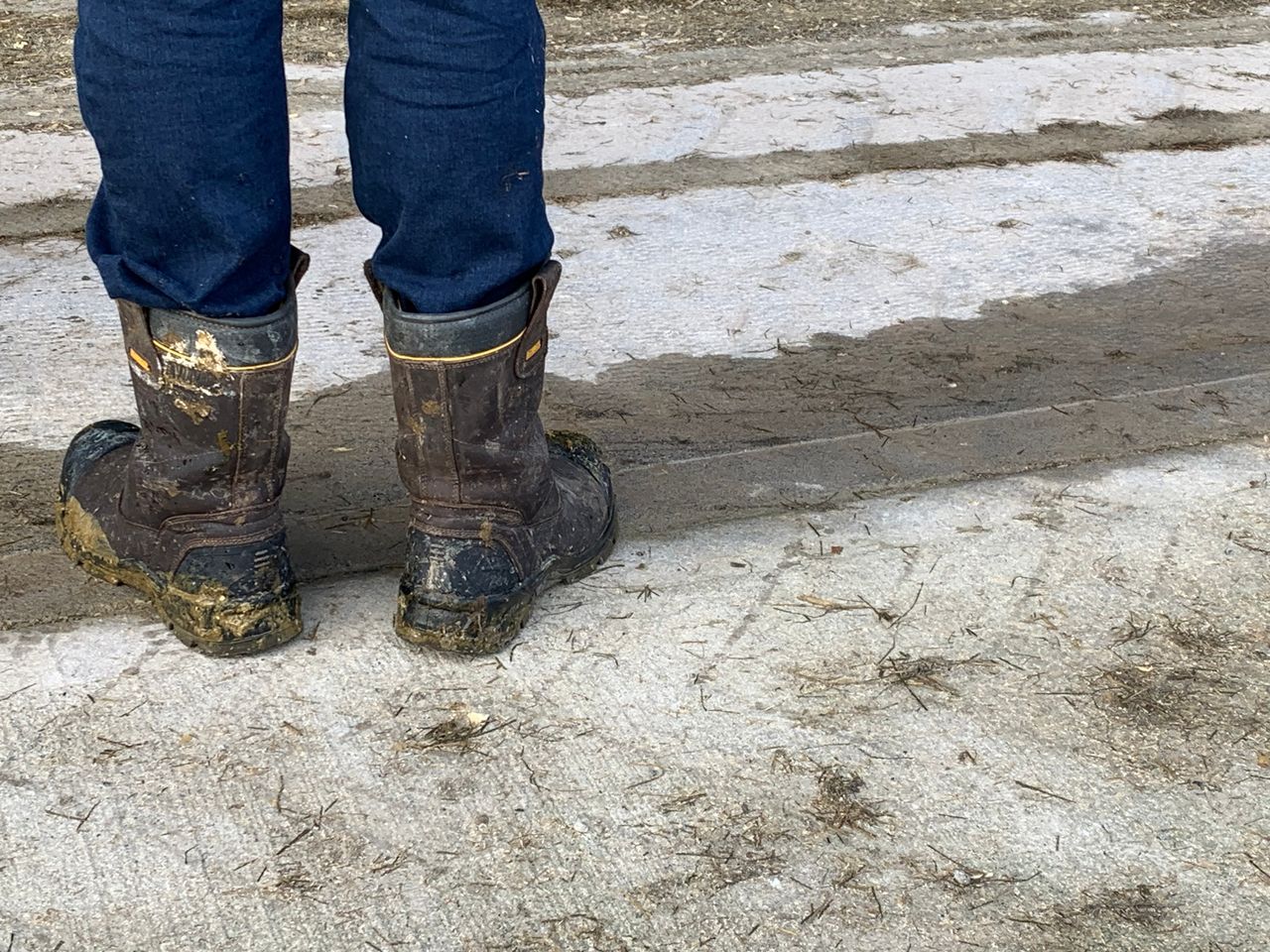 New ifac farm report highlights red tape and financial blind spots
