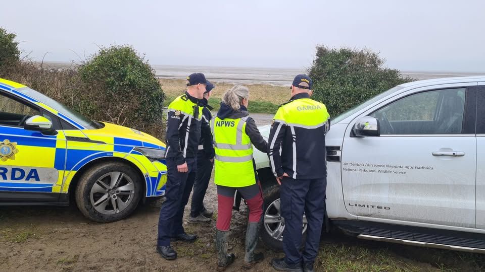 Louth gardaí confirm 'criminal investigations' underway into illegal hunting