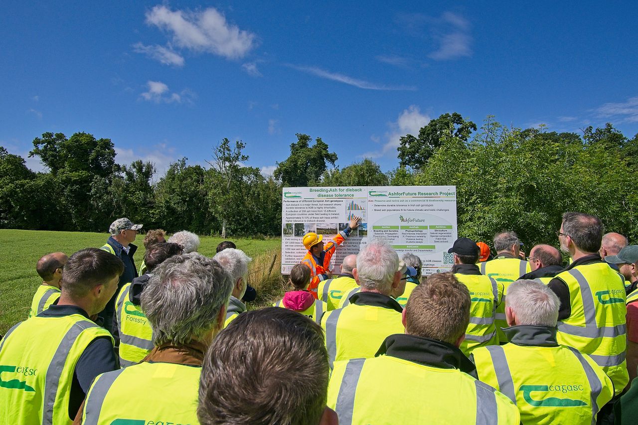 Almost 300 attend event highlighting supports for forestry