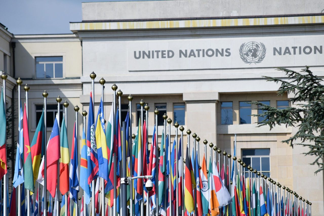 Ireland elected to council of UN Food and Agriculture Organisation