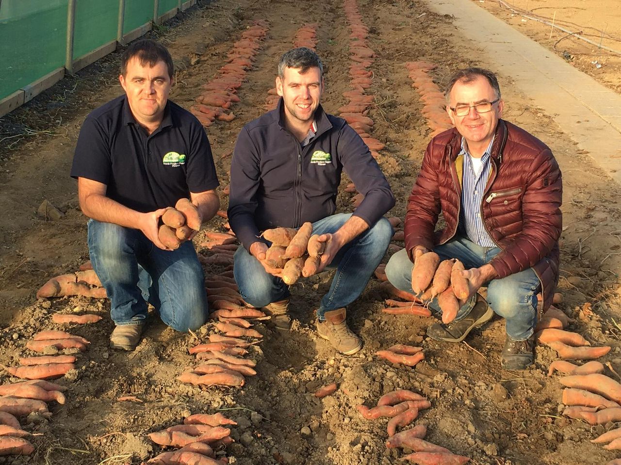 Tillage focus: Potato business gets 'sweet' in order to meet demand