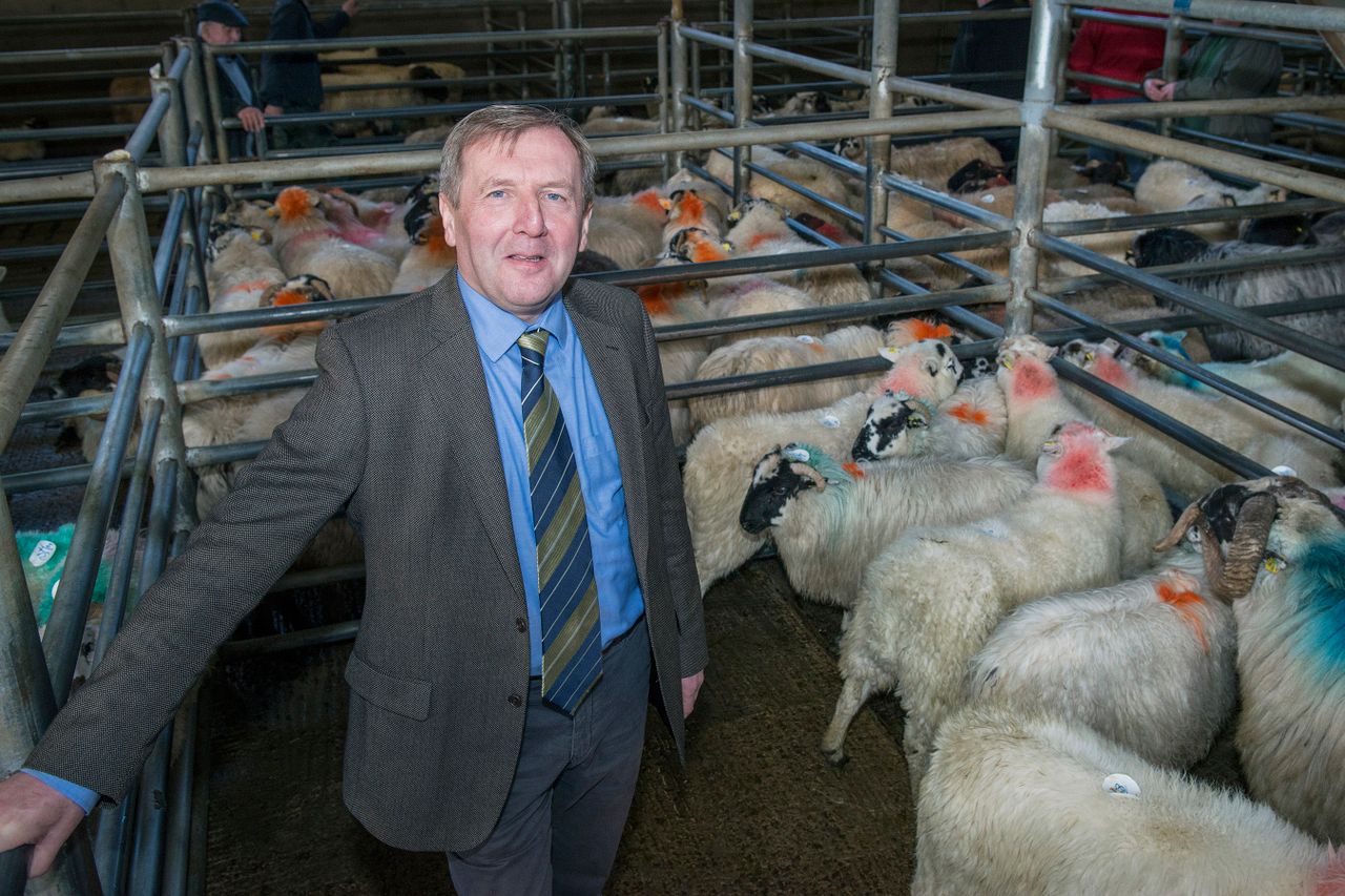 Balancing Payments for year 2 of Sheep Welfare Scheme commences